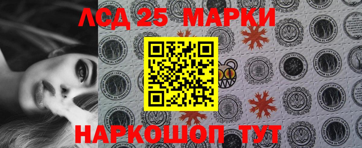 Псилоцибиновые грибы Москва